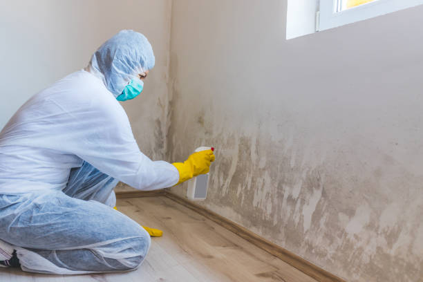 Mold inspector in Far Hills performing thermal imaging