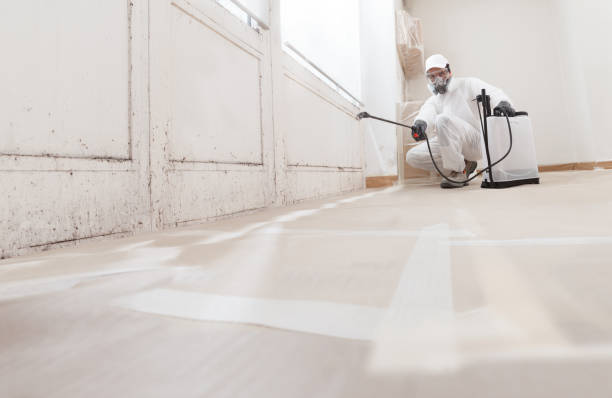 Black mold remediation team in Far Hills